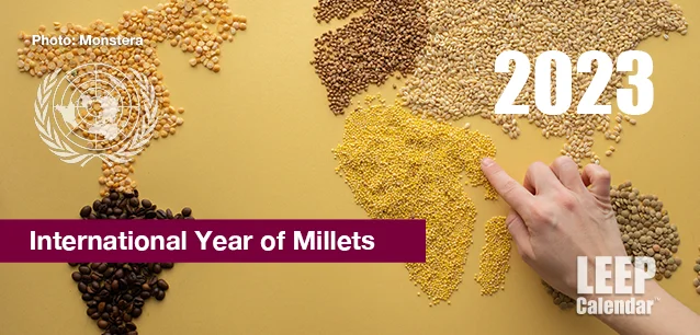 No image found 2023 Year of MilletsE.webp